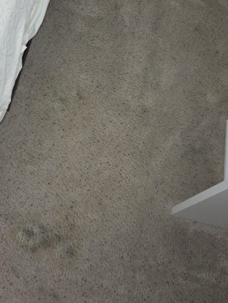 contact about area rug cleaning in houston area rug cleaning tx carpet cleaning in houston carpet cleaning tx contact about area rug cleaning in houston area rug cleaning tx carpet cleaning in houston carpet cleaning tx
